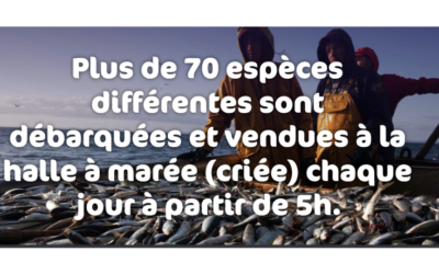 Agnès Pannier-Runacher : Le décret relatif aux attributions du ministre de la transition écologique est paru