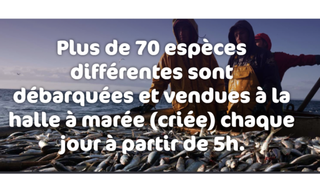 Agnès Pannier-Runacher : Le décret relatif aux attributions du ministre de la transition écologique est paru