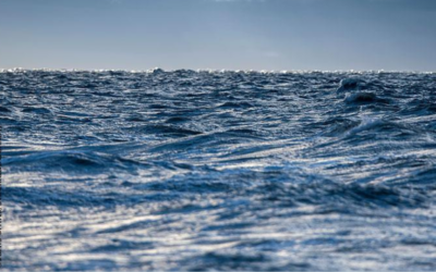 La Commission Européenne ouvre une consultation publique sur le règlement de la politique commune de la pêche