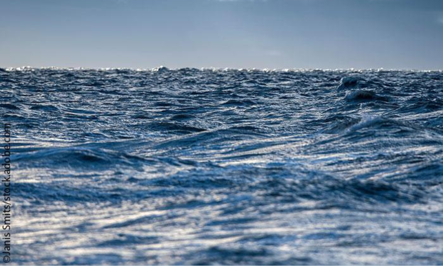 La Commission Européenne ouvre une consultation publique sur le règlement de la politique commune de la pêche