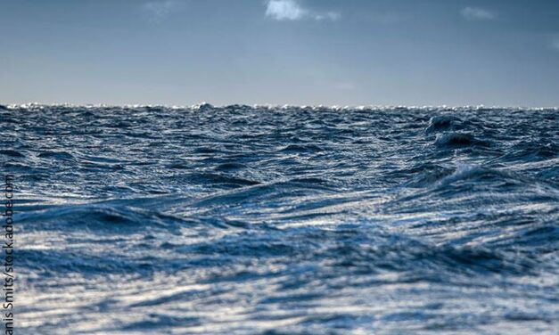 La Commission ouvre une consultation publique sur le règlement de la politique commune de la pêche