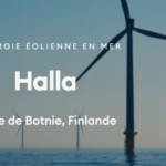 Première évaluation de l’impact environnemental pour un projet éolien offshore dans la zone économique exclusive de la Finlande