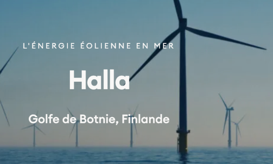 Première évaluation de l’impact environnemental pour un projet éolien offshore dans la zone économique exclusive de la Finlande