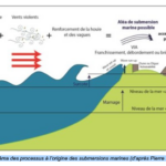 Relevés de dommages à terre dus aux submersions marines, un rapport du CEREMA