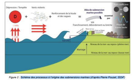 Relevés de dommages à terre dus aux submersions marines, un rapport du CEREMA