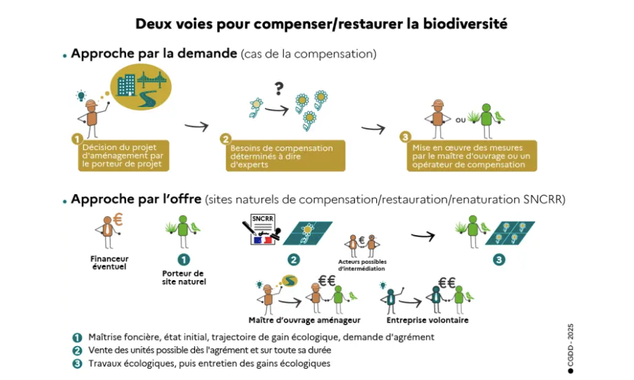 Biodiversité : Patrick Deronzier a retrouvé le ministère de la transition écologique